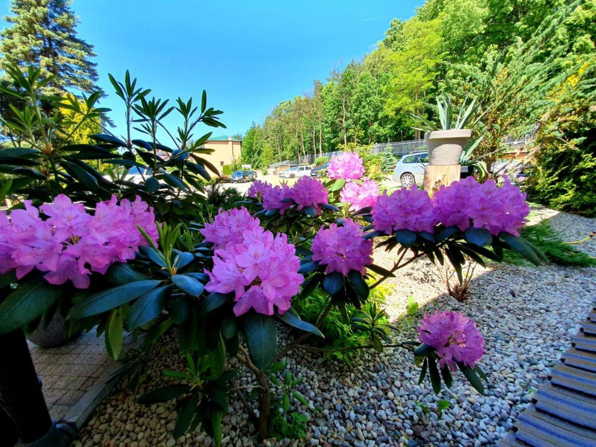 Hotel Mazuria Country & Spa Мронгово Екстериор снимка